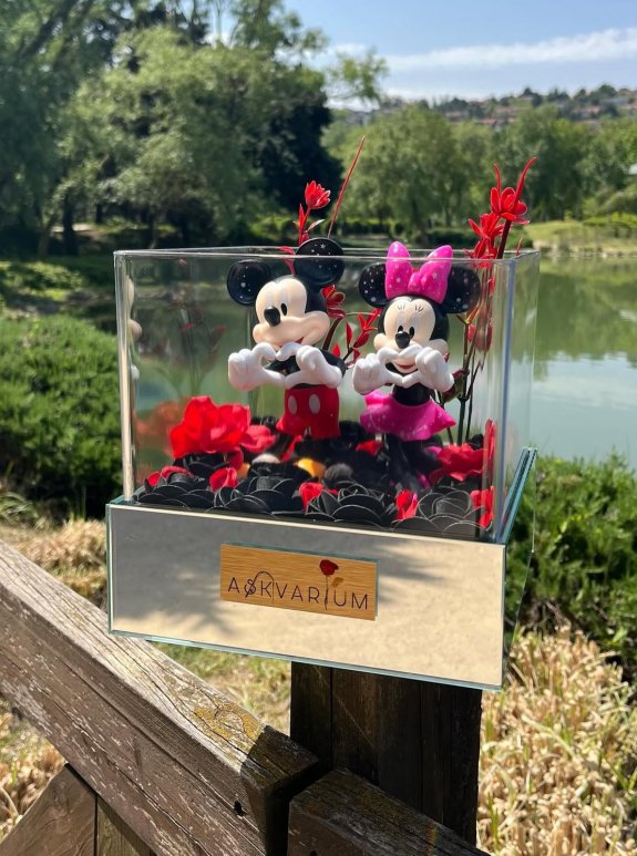 Micmin Premium Askvarium