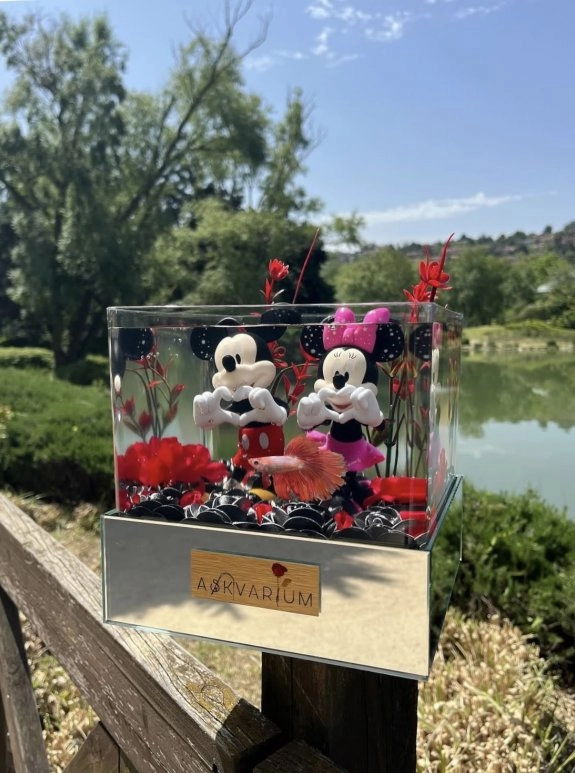 Micmin Premium Askvarium