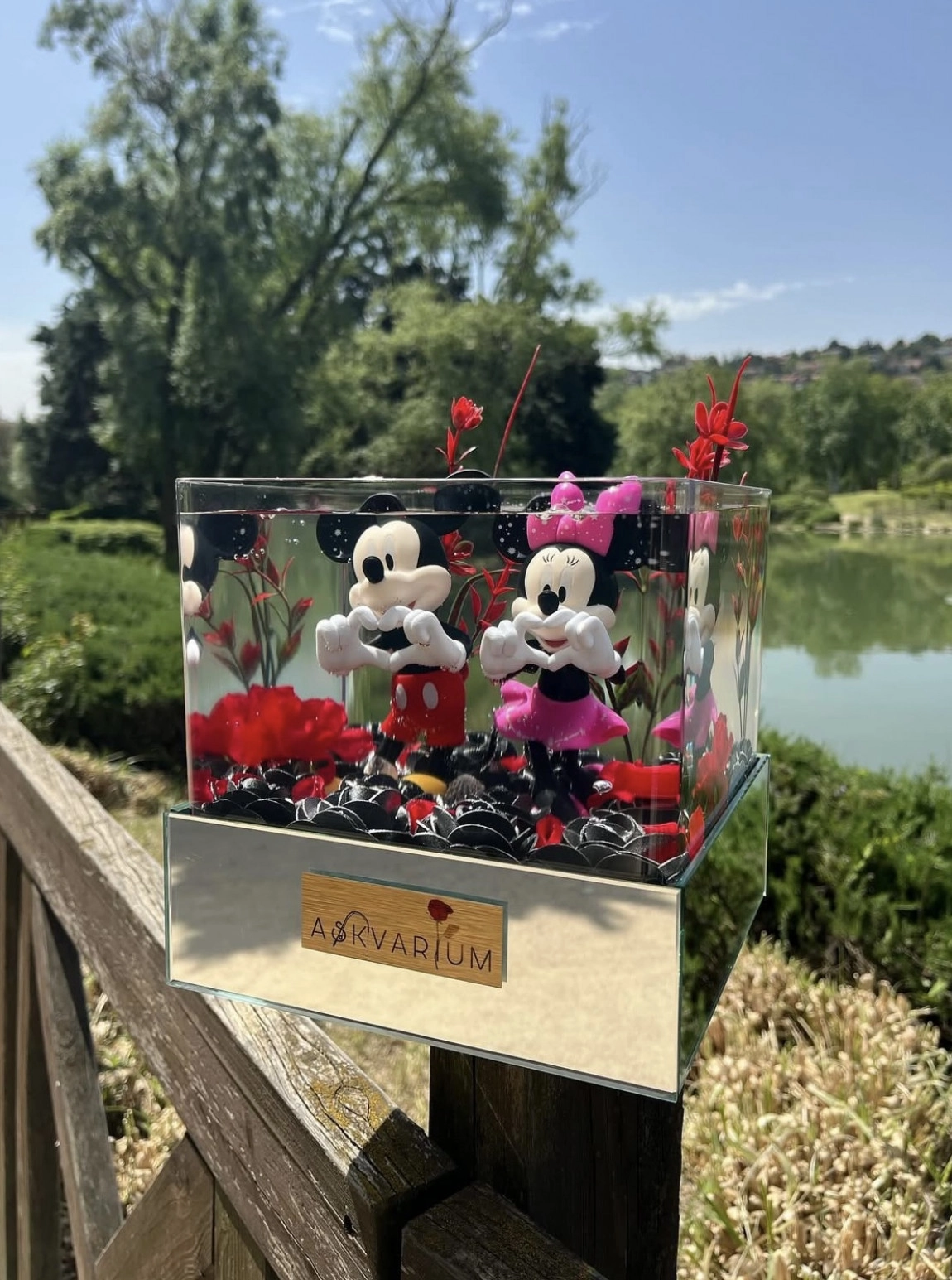 Micmin Premium Askvarium