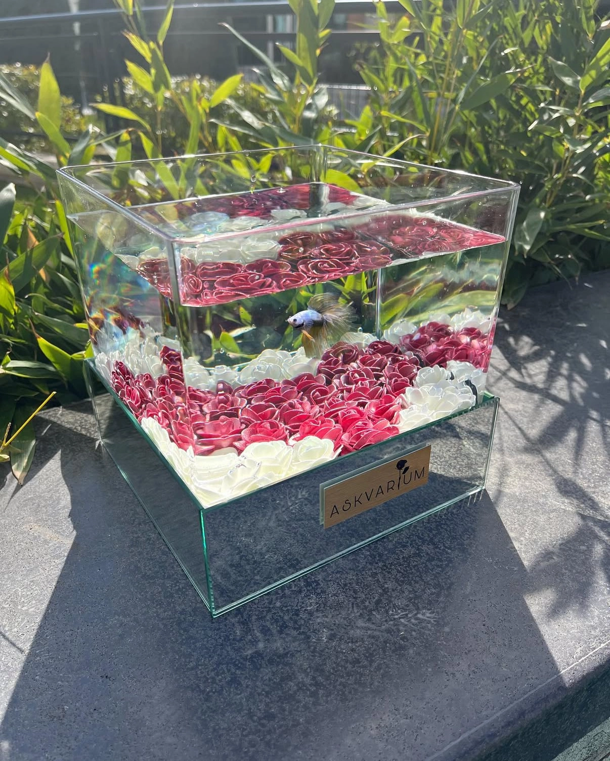 Miry Heart Askvarium