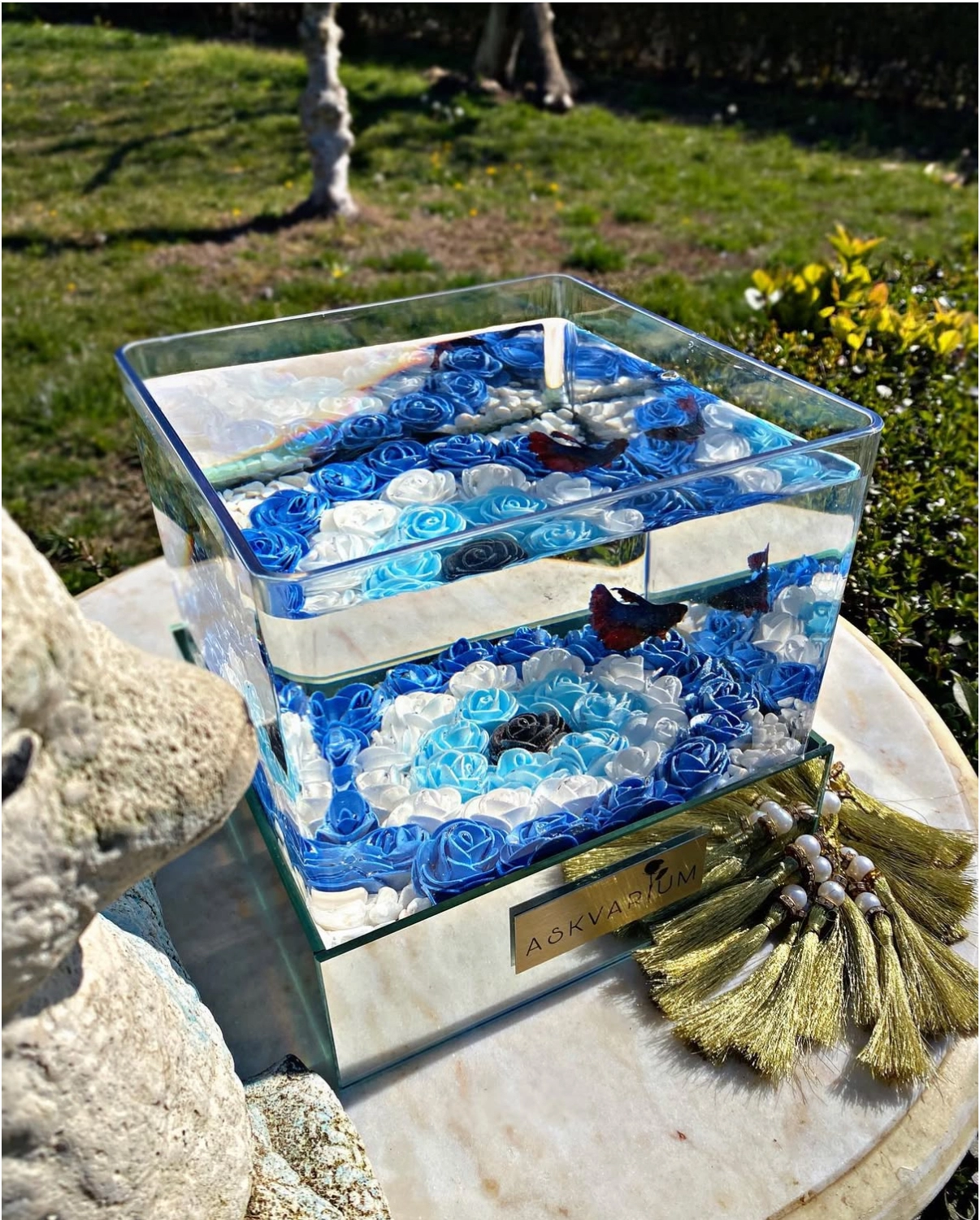 Nazar Boncuğu Askvarium