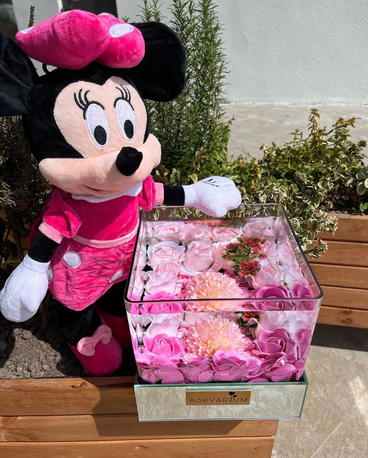 Peluş Hediyeli Pemp Askvarium