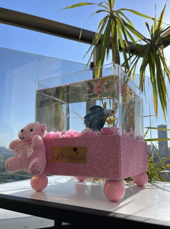 Pemp World Askvarium