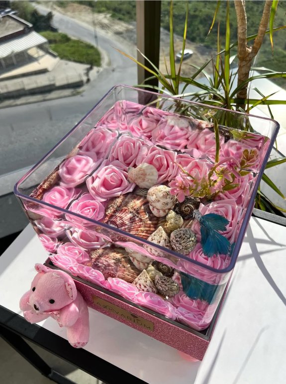 Pemp World Askvarium