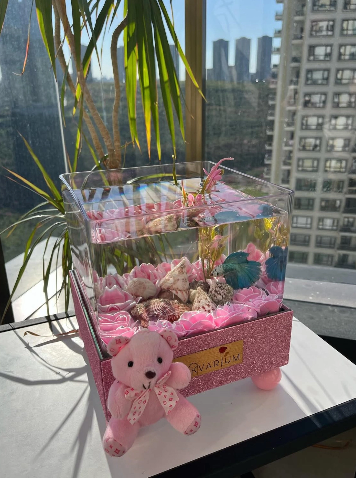 Pemp World Askvarium