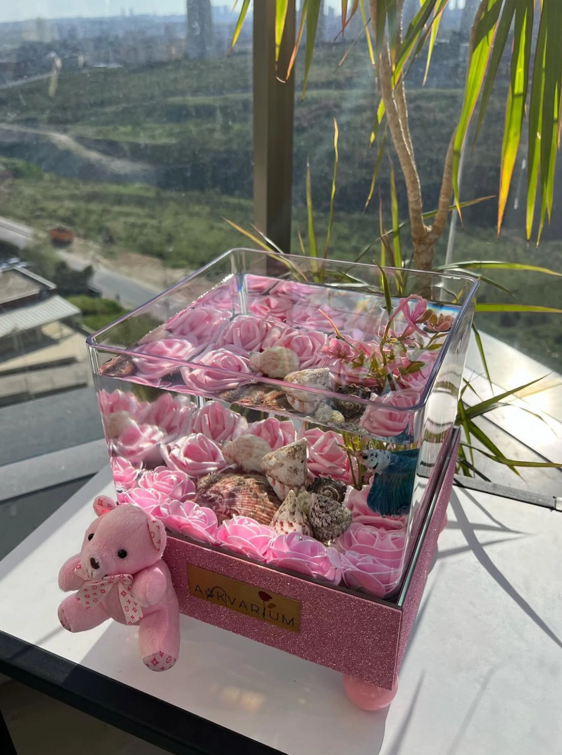 Pemp World Askvarium