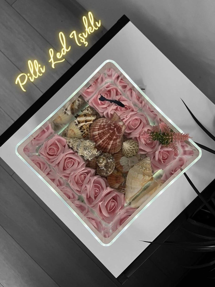 Pilli Led Işıklı Askvarium