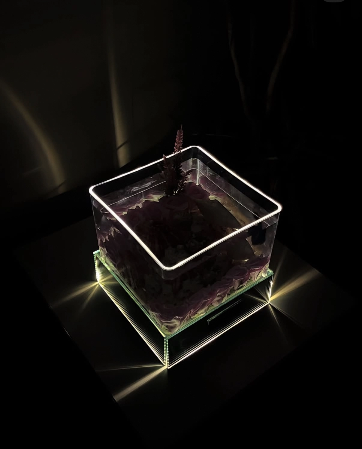 Pilli Led Işıklı Askvarium