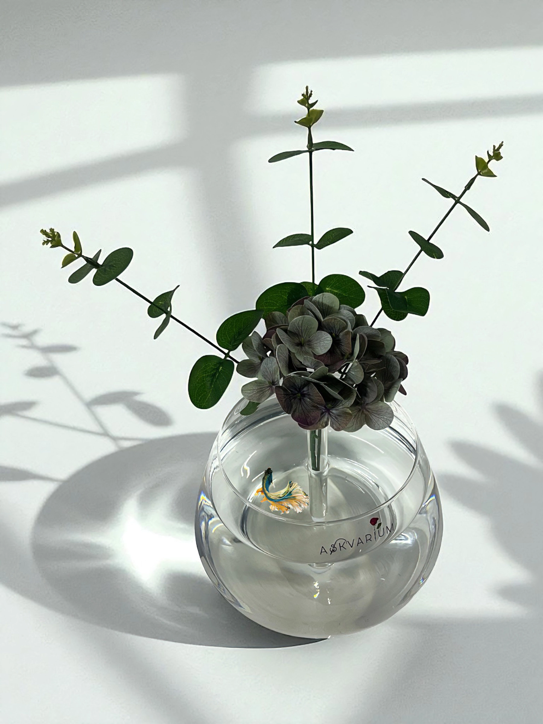 Rosent Cam Fanus Askvarium