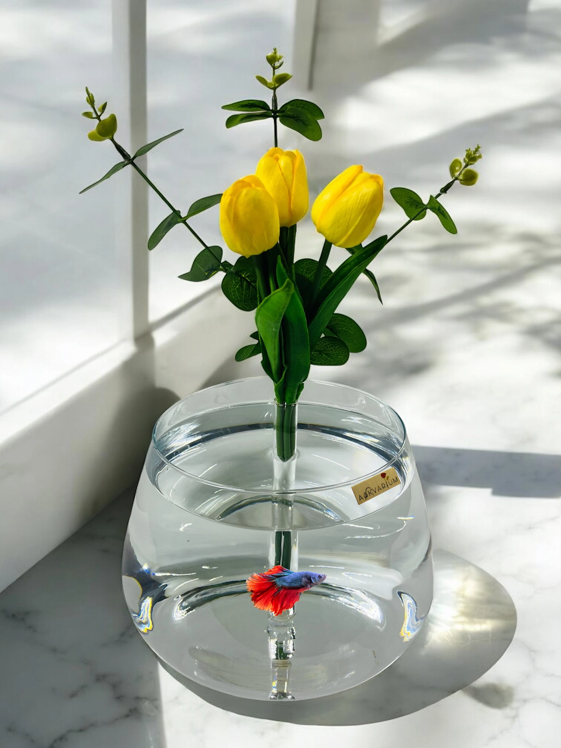 Sarı Lale Cam Fanus