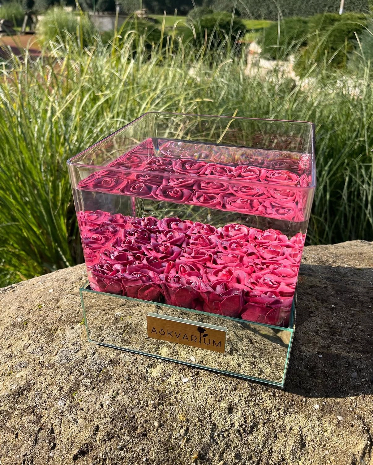 Shining Love Askvarium