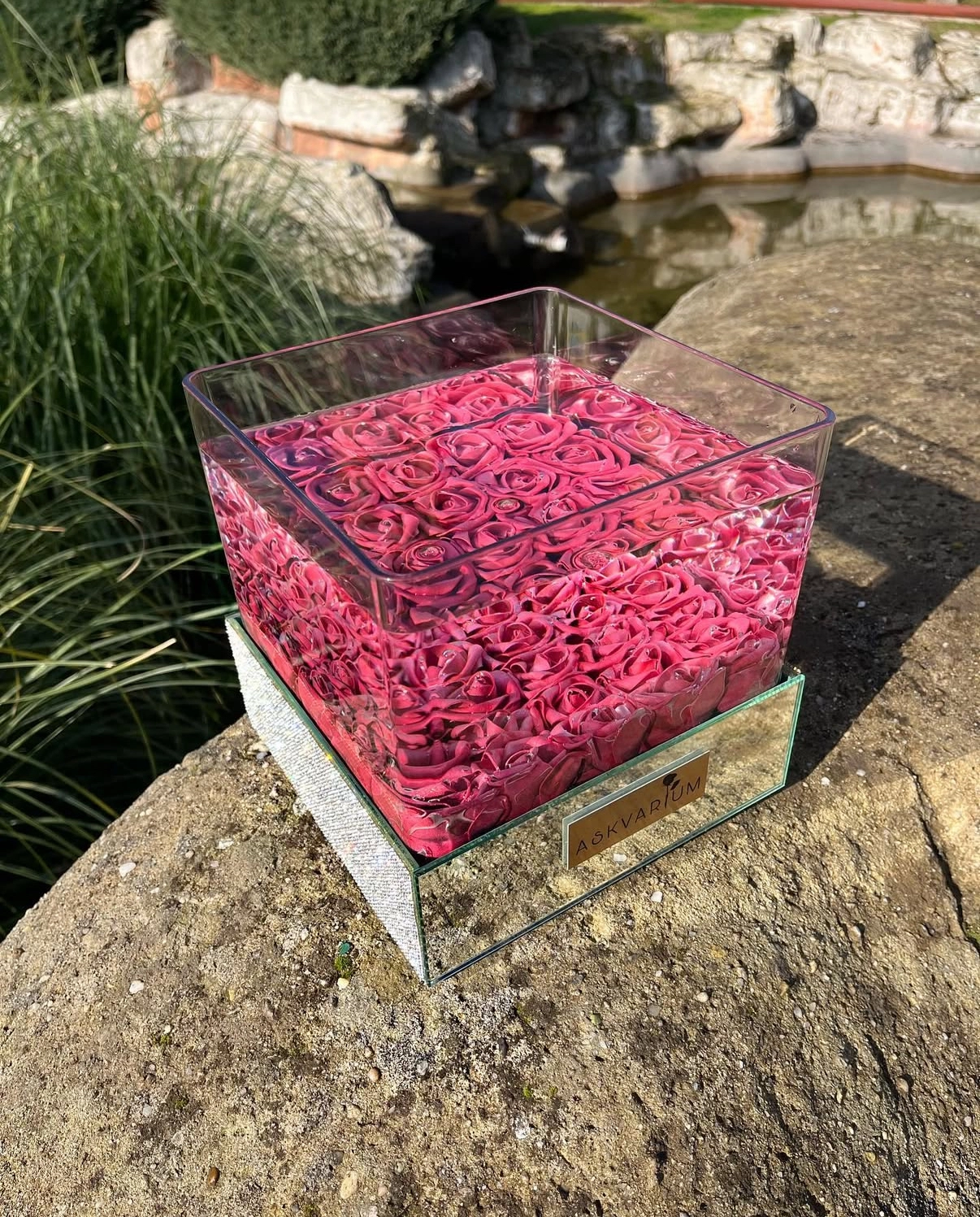 Shining Love Askvarium