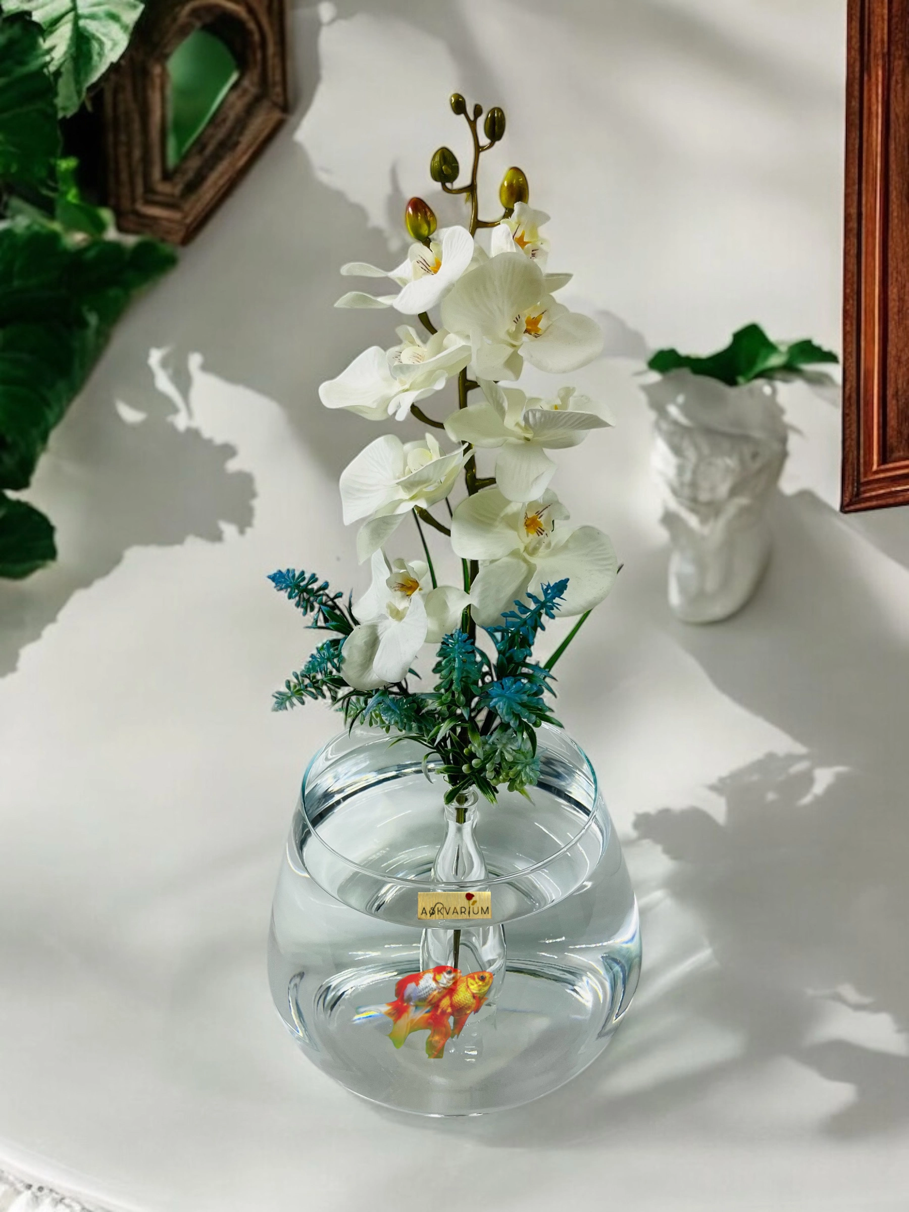 Tek Dal Beyaz Orkide Fanus