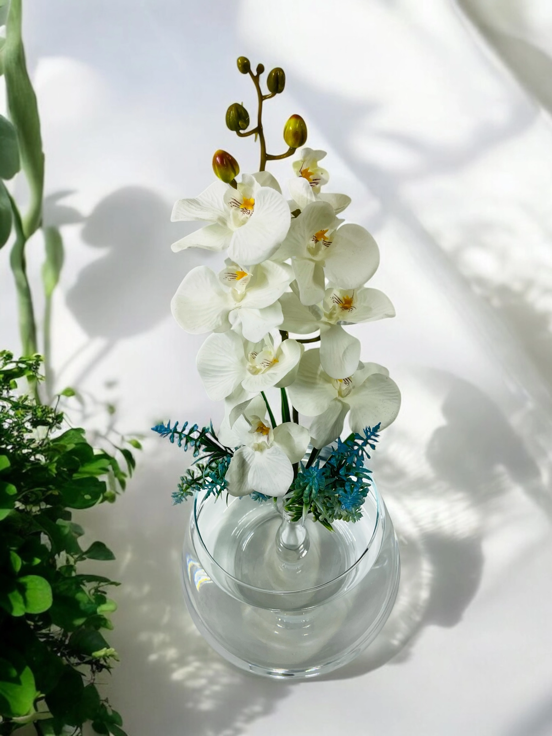 Tek Dal Beyaz Orkide Fanus