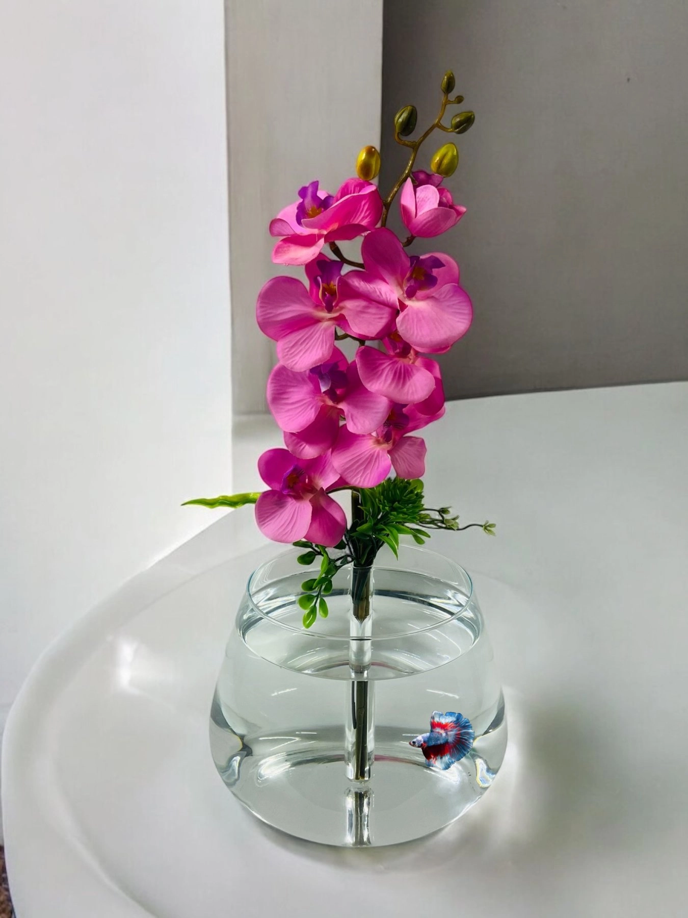 Tek Dal Pembe Orkide Fanus