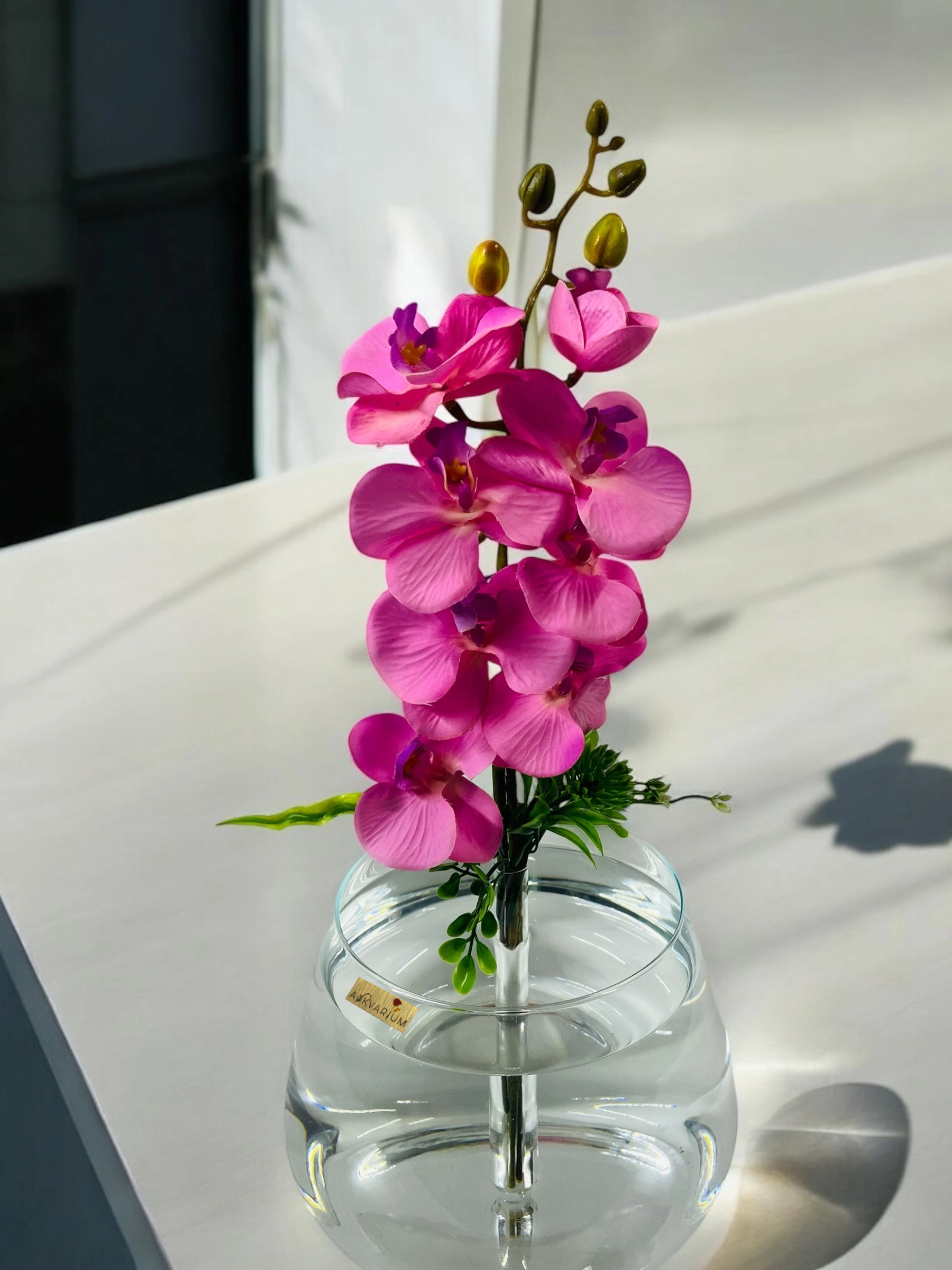 Tek Dal Pembe Orkide Fanus