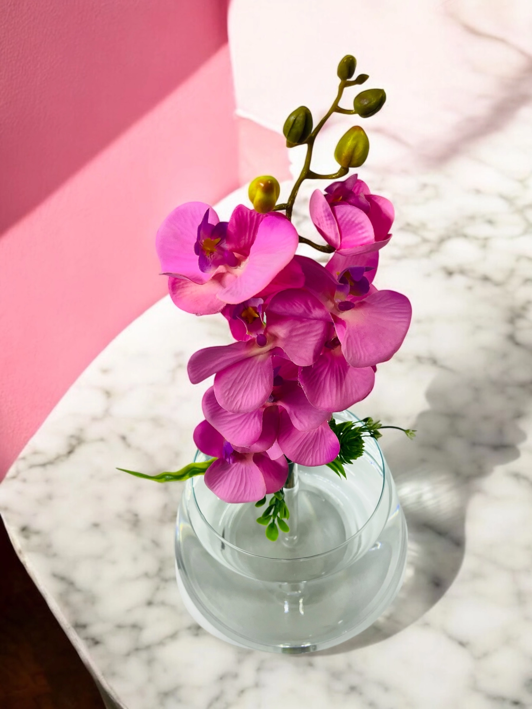Tek Dal Pembe Orkide Fanus