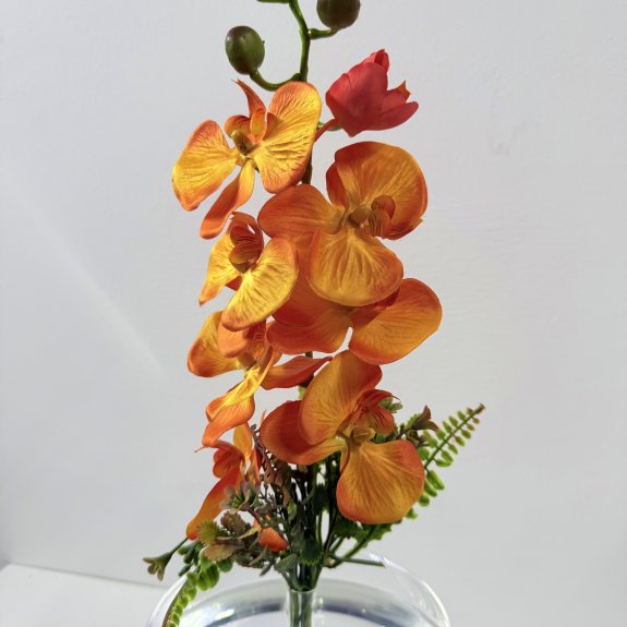 Turuncu Orkide Fanus Askvarium