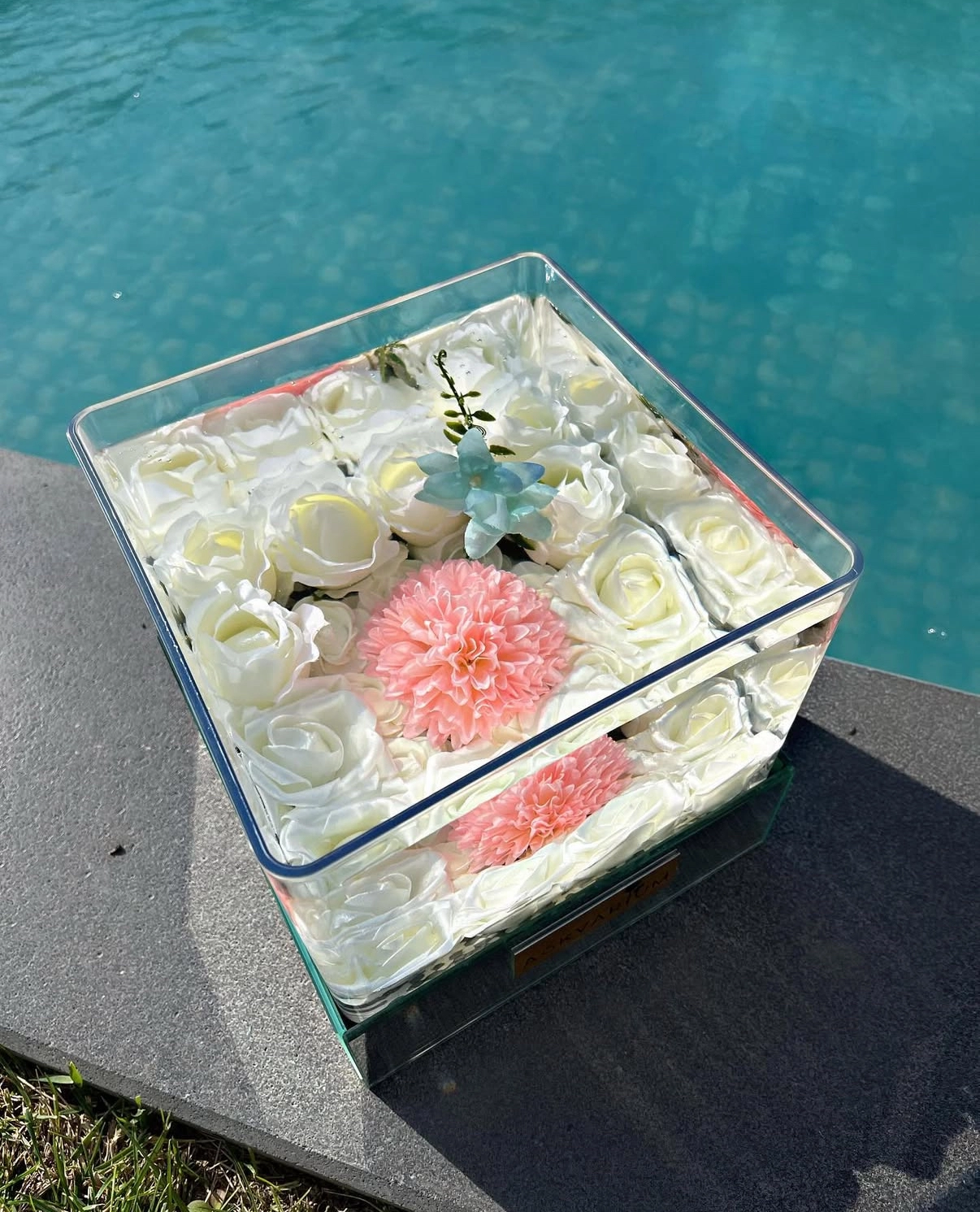 White Angel Askvarium