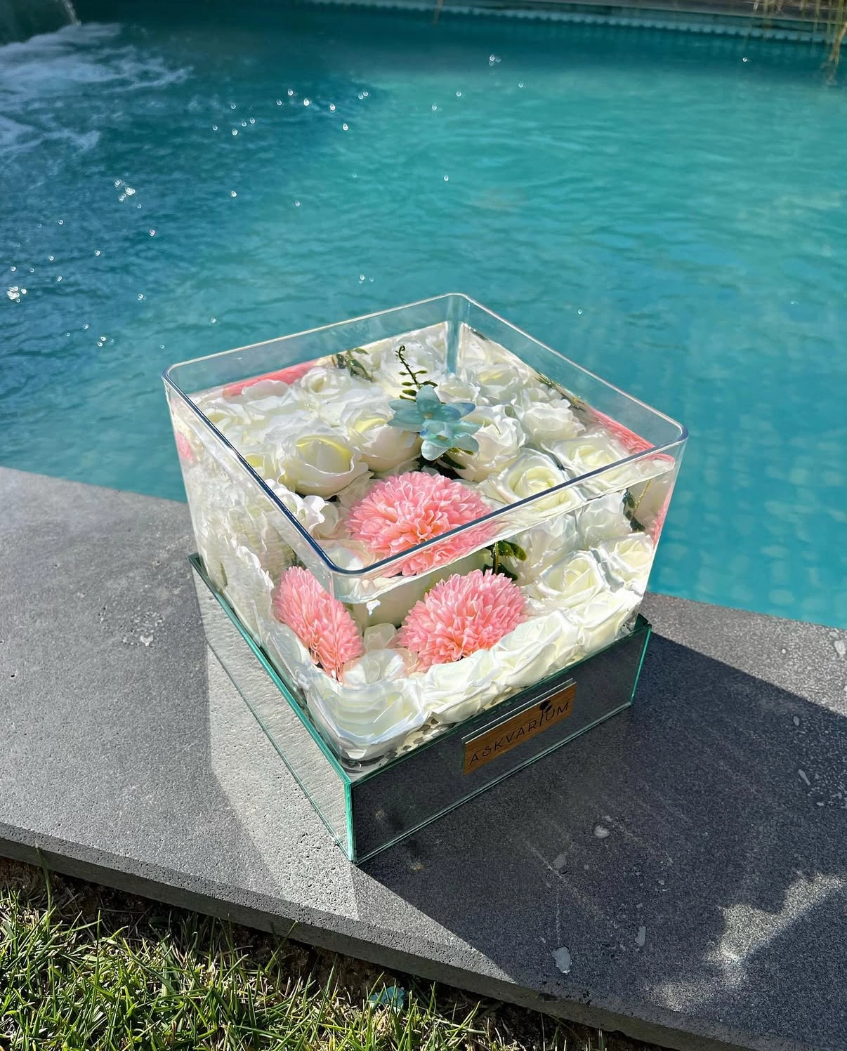 White Angel Askvarium