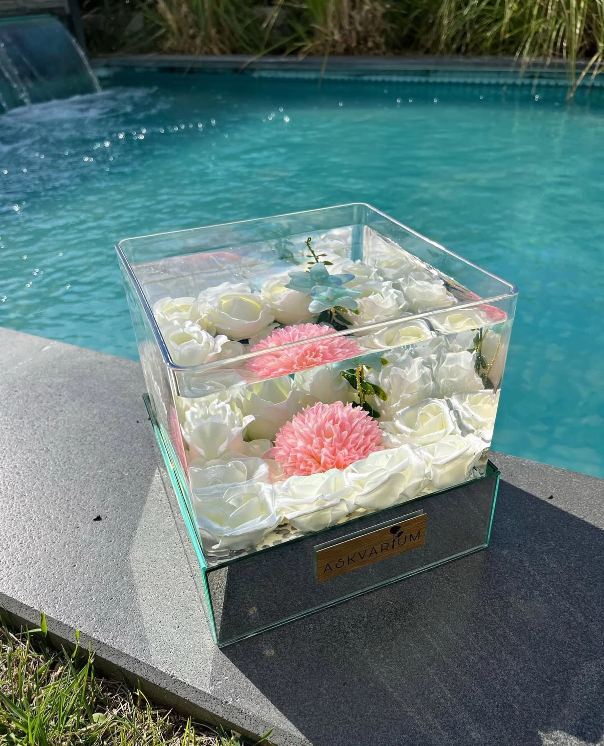 White Angel Askvarium