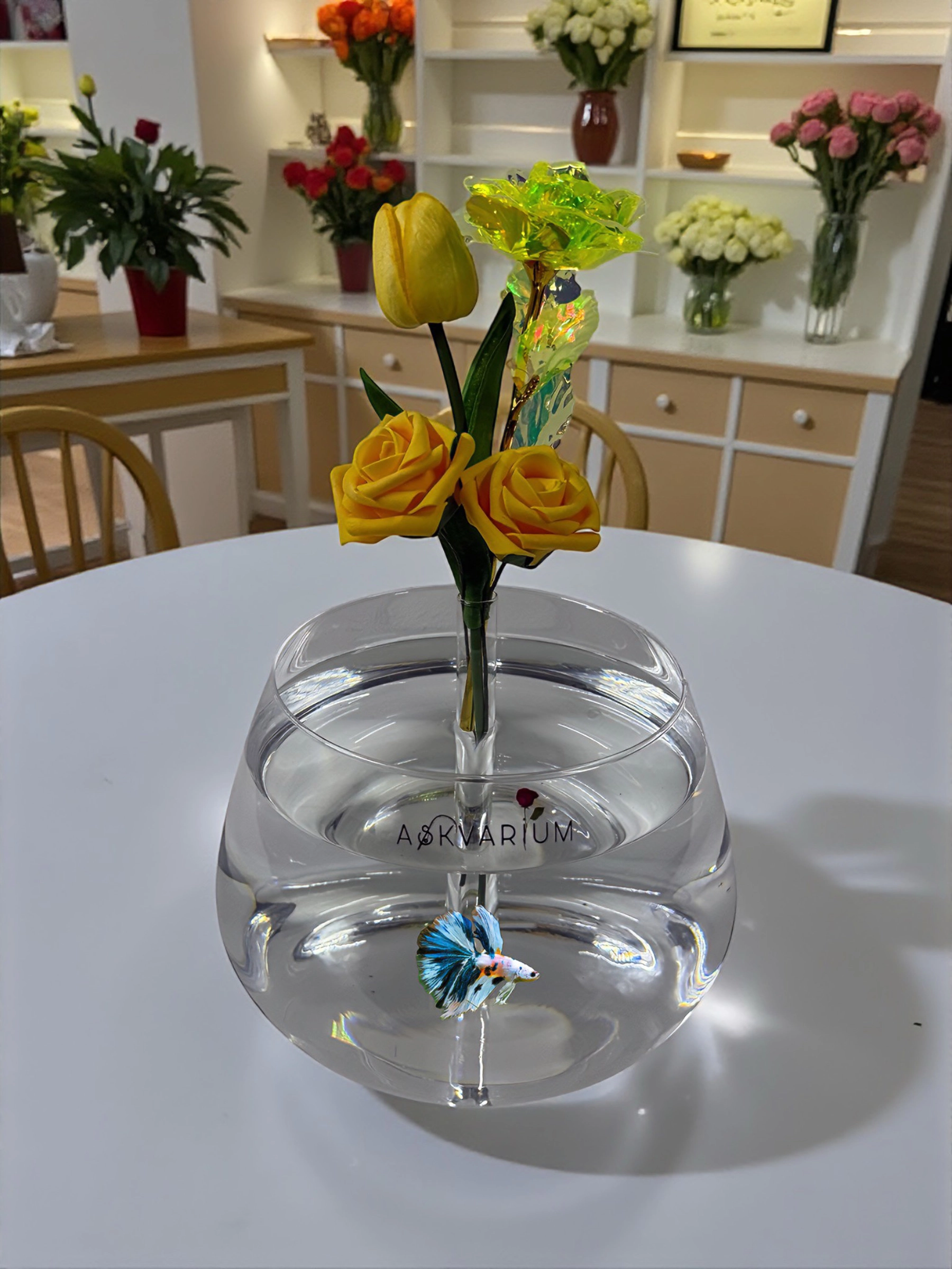 Yelpas Fanus Askvarium