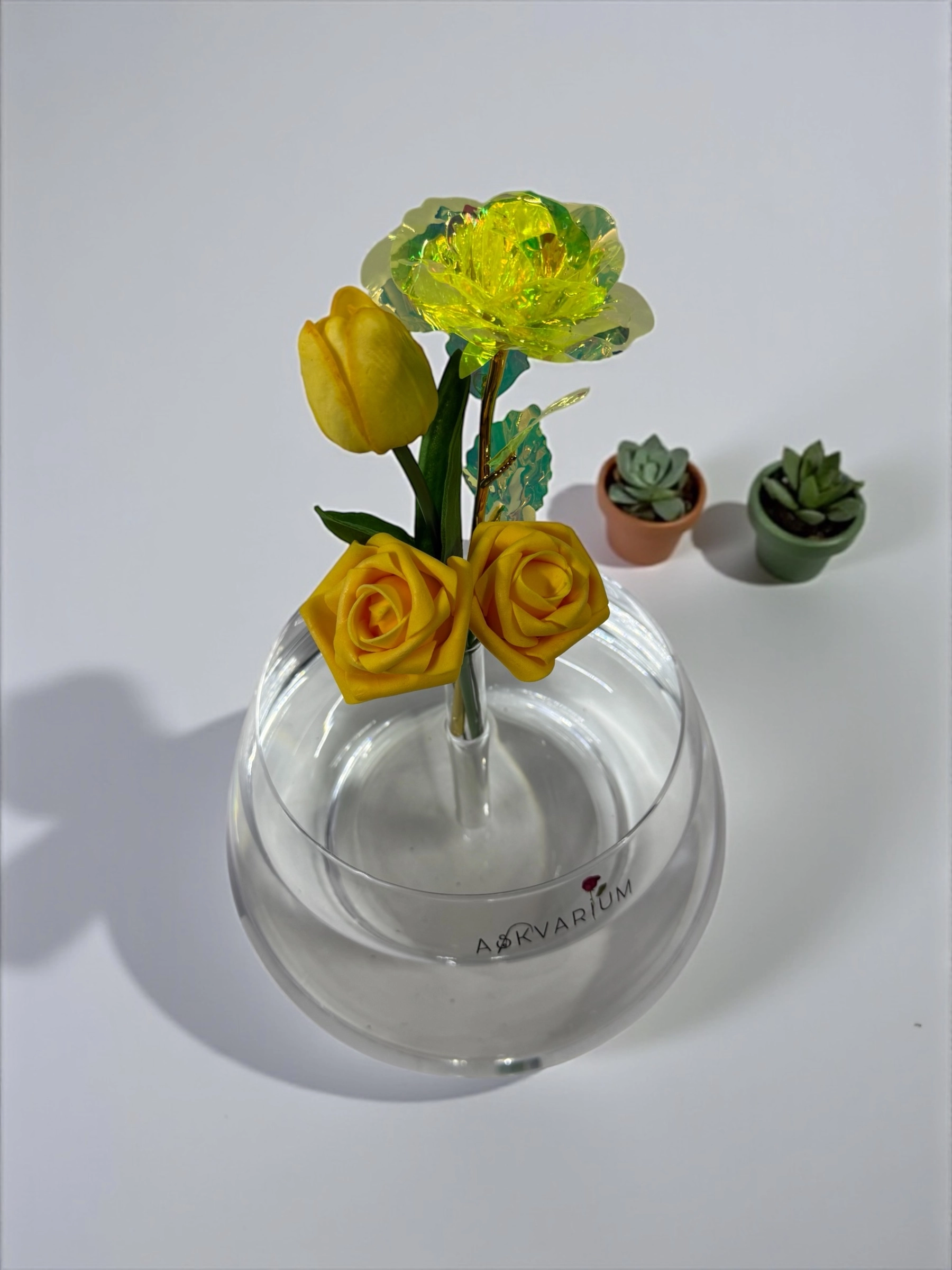 Yelpas Fanus Askvarium
